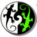 Twin Geckos Logo