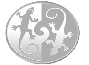 TG Coin